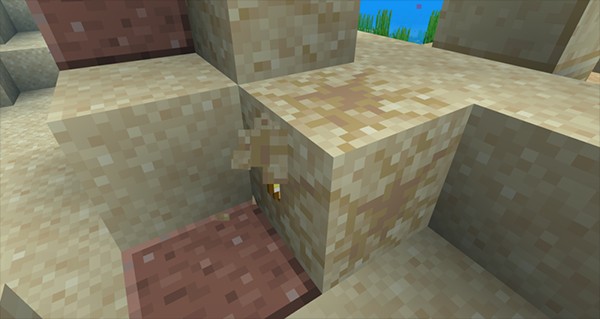 怎么寻找骆驼和嗅探兽