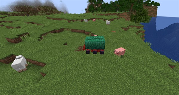 怎么寻找骆驼和嗅探兽