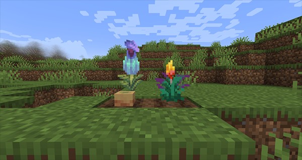 怎么寻找骆驼和嗅探兽