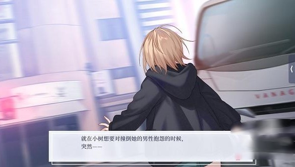 提早绽放的黑百合游戏(Black Lily)