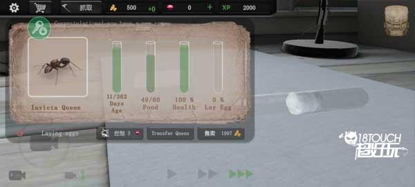 蚂蚁模拟大亨新手攻略截图8