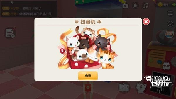 养了个猫怎么养宠物3