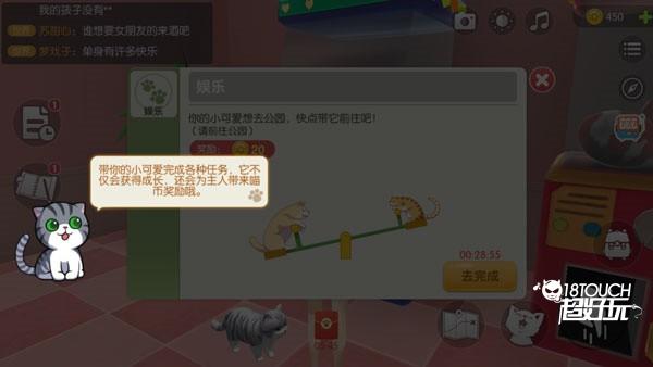 养了个猫怎么养宠物5