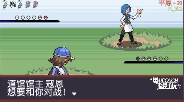 宝可梦肉鸽游戏图片14