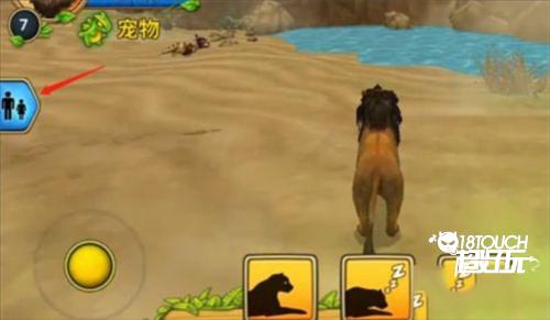 终极狮王模拟器图片5