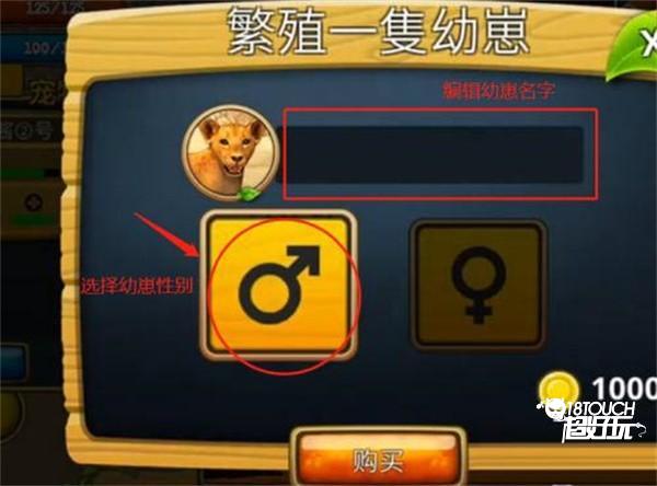 终极狮王模拟器图片7