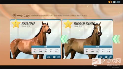 家族传奇马匹养成竞技新手攻略5