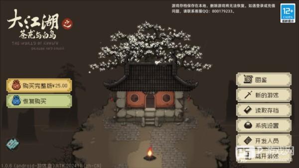 大江湖之苍龙与白鸟游戏截图4