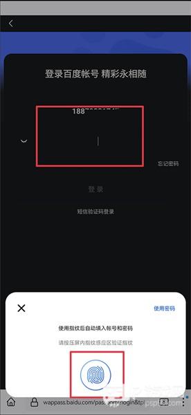 如何自动添加账户和密码配图4