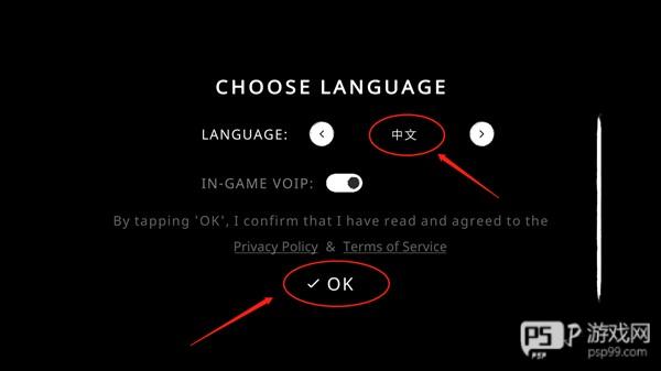 怎么设置中文配图2