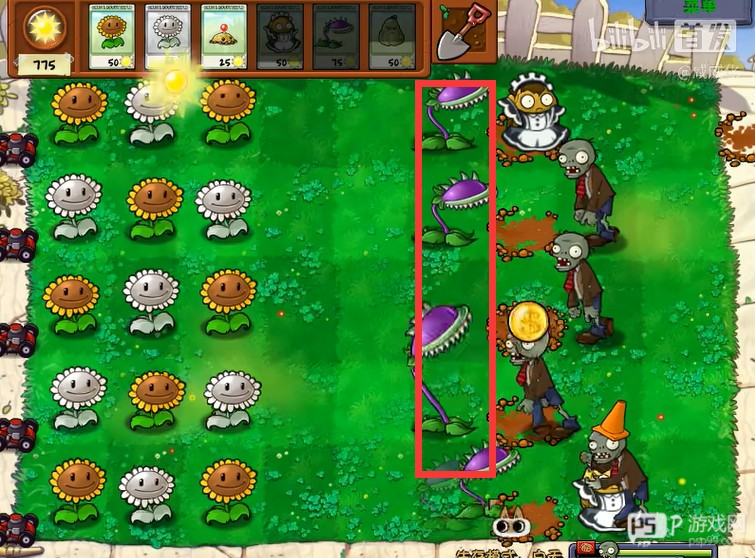 植物大战僵尸威化版
