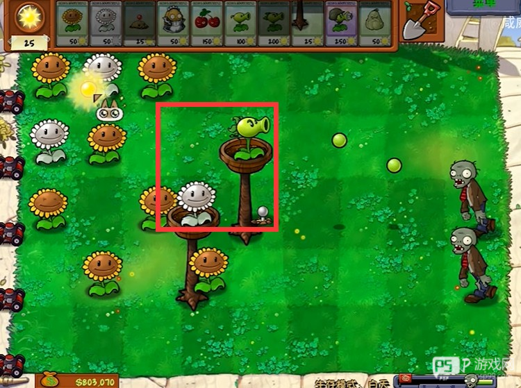 植物大战僵尸威化版