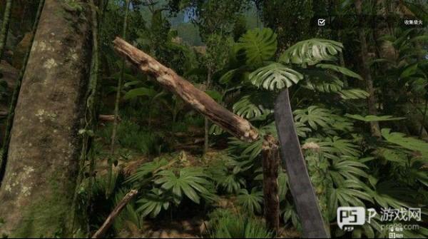 绿色地狱手机版游戏攻略5