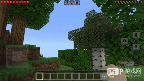 我的世界基岩版1.21