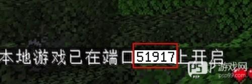 pcL2启动器手机版