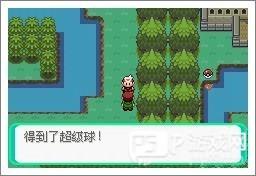 宝可梦漆黑的魅影