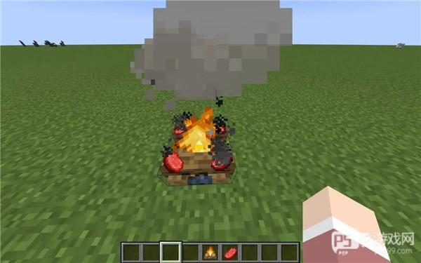 我的世界苍园觉醒